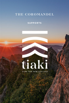 Tiaki-Promise