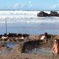 Nigel Carpenter Hot Water Beach