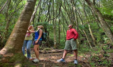 There are plenty of free options, Tairua is only minutes away from bush and kauri grove walks, old mines and caves to explore and fresh water swimming holes.  an image