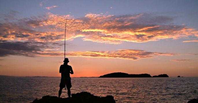 Fishing Papa Aroha
