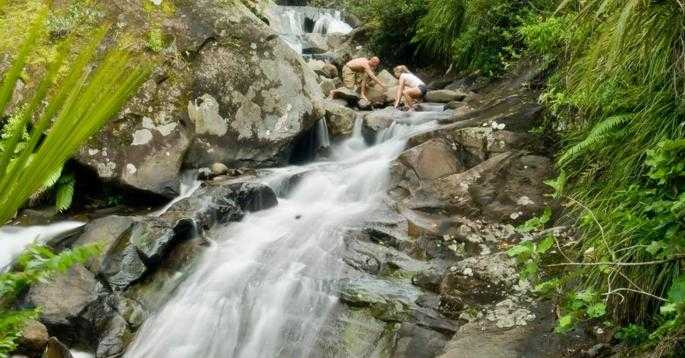 Seven Stairs of Heaven - Rapaura Gardens