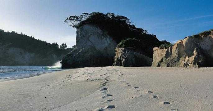 Whititoa Beach - Leave only footprints