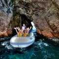 Destination Coromandel