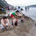 Destination Coromandel