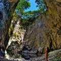 Destination Coromandel