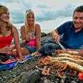 Destination Coromandel
