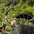 Destination Coromandel