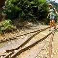 Destination Coromandel