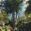 Destination Coromandel