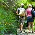 Destination Coromandel