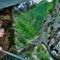 Destination Coromandel