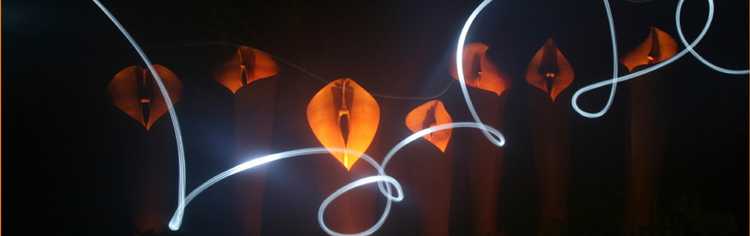 Great Coromandel Arts Tour