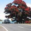 Destination Coromandel