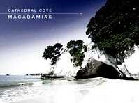 The beautiful Cathedral Cove - Coromandel