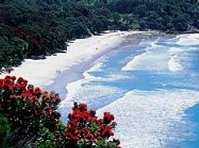Orokawa Bay Walk :: click here for more information
