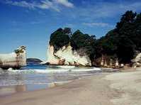 Pedaltours Coromandel Peninsula Cycle Tour :: click here for more information