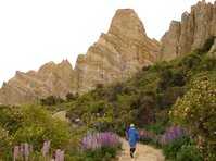 Remote New Zealand Journeys :: click here for more information