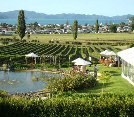 Mercury Bay Estate :: click here for more information The View