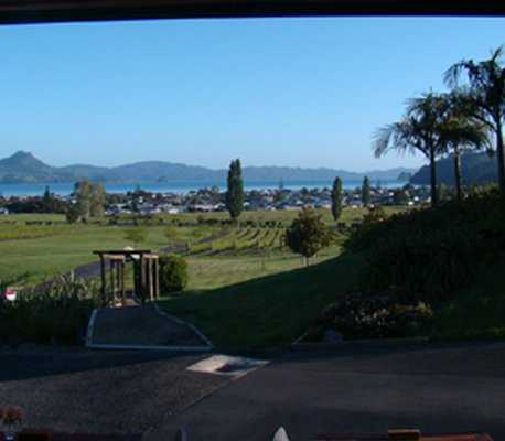 Mercury Bay Estate Ltd :: click here for more information view