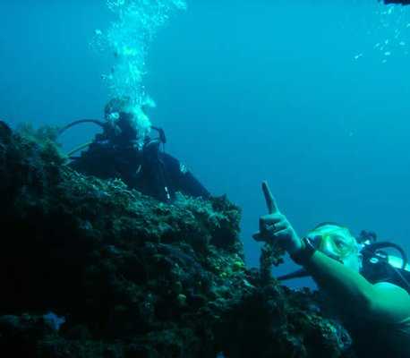 Dive Zone Whitianga :: click here for more information Our Dive Boat Scubadoo