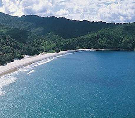 New Chum Beach :: click here for more information New Chums, Whitianga, New Zealand