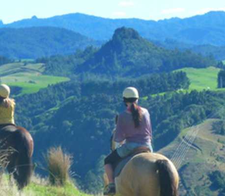 Rangihau Ranch :: click here for more information