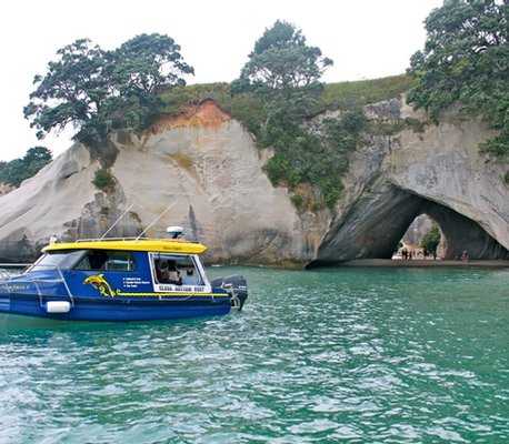 Coromandel Adventures Explorer :: click here for more information Cathedral Cove Scenic Explorer