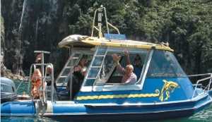 Glass Bottom Boat - Mercury Bay 