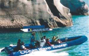 Ocean Wave Tours 