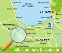 Click on map to zoom in
