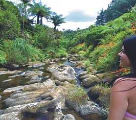 Walks Coromandel Peninsula NZ