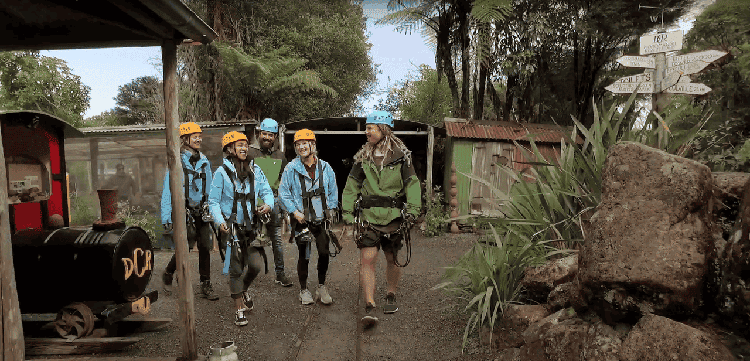 Coromandel-ZIpline-Tours-1