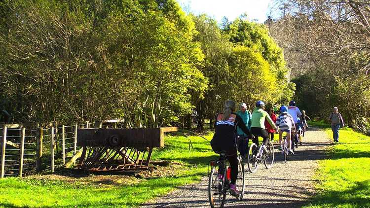 Karangahake Gorge 21