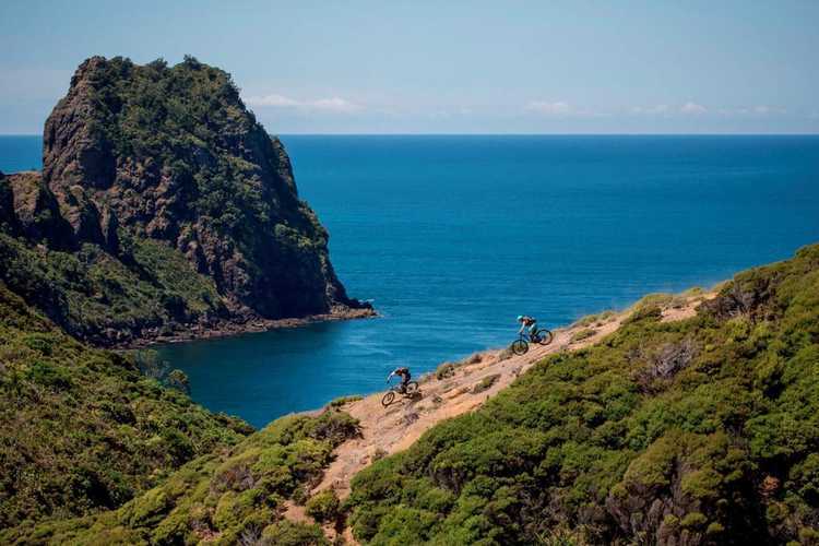 Mountain bike parks and trails in The Coromandel