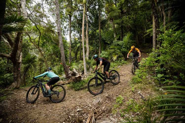Coromandel MTB Ride Coromandel