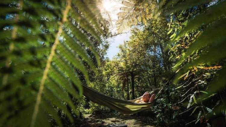 Hammock at Wairua Lodge v2 Hammock at Wairua Lodge v2