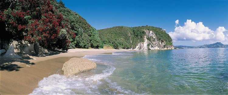 Lonely Bay