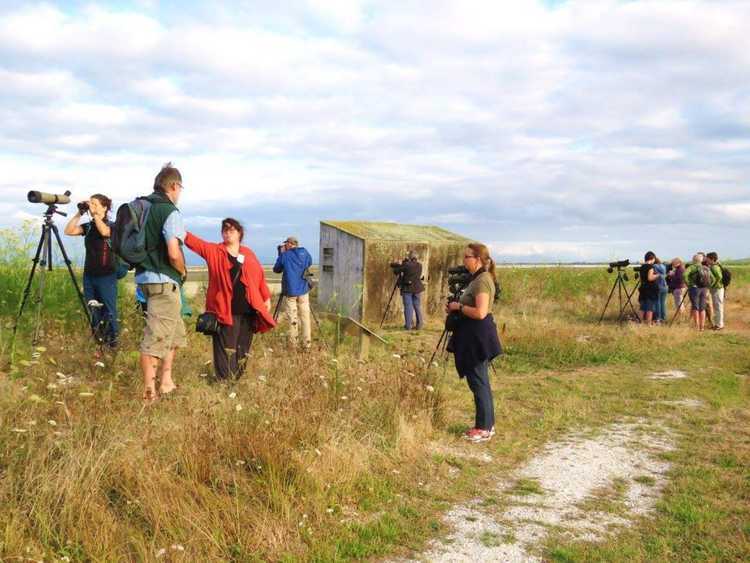Miranda Bird Hide
