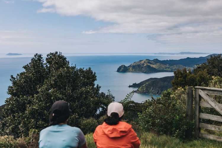 Pahi Coastal Walk 014