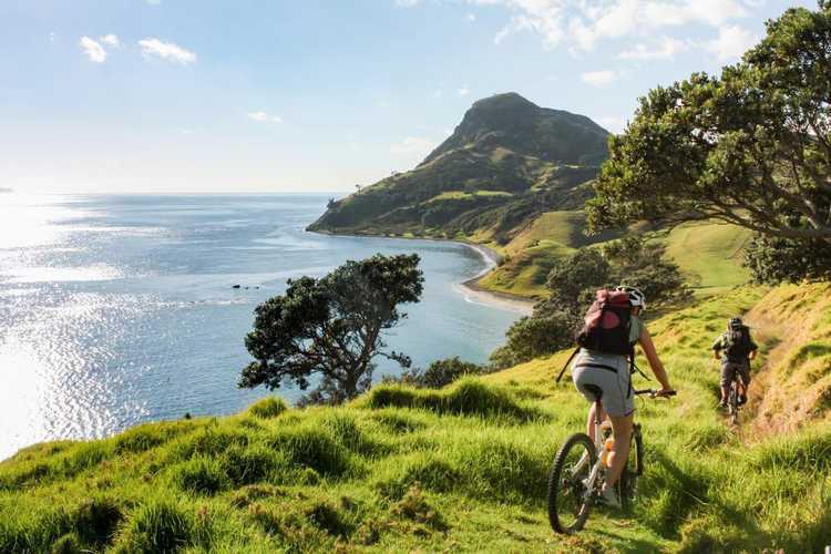 Top of Coromandel Mountain Biking