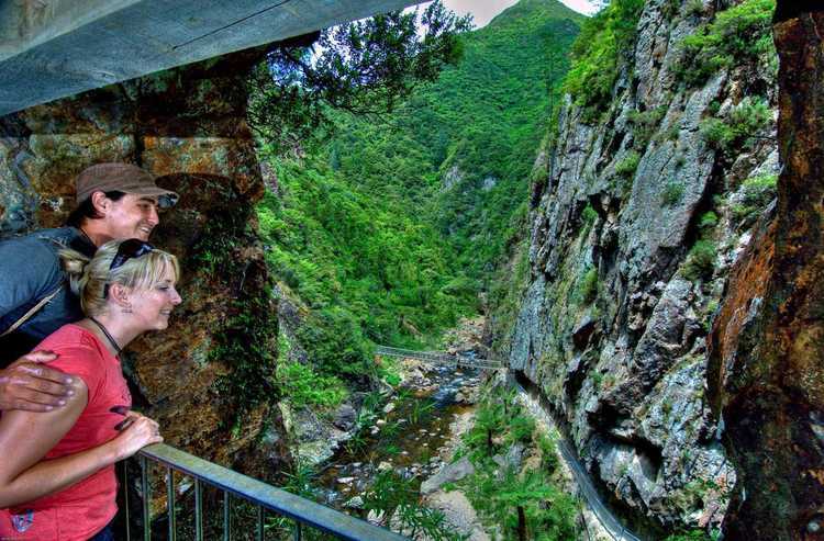A family hiking holiday around The Coromandel
