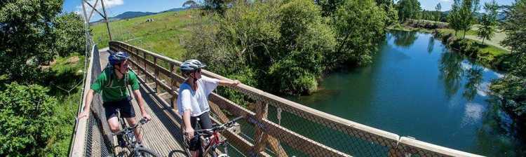 Hauraki Rail Trail bridge Hauraki Rail Trail bridge