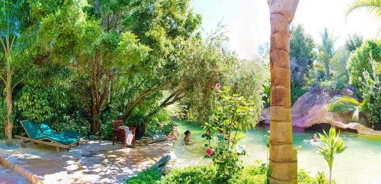 The Lost Spring | The Coromandel