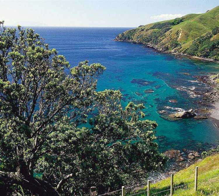 Northern Coromandel Bay