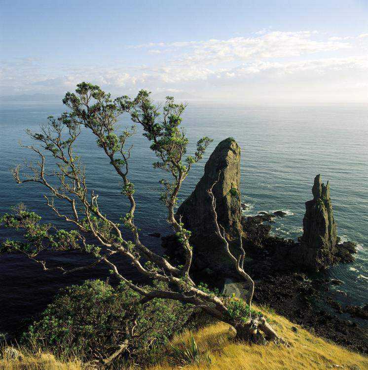 Fletcher Bay