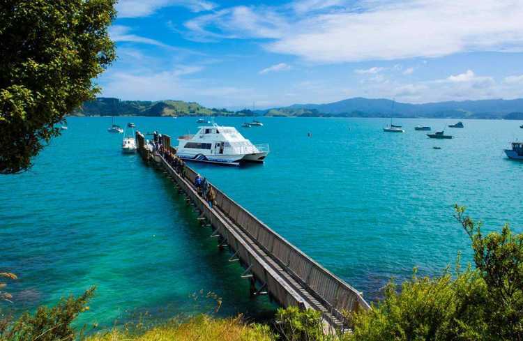 Auckland to Coromandel Ferry | The Coromandel