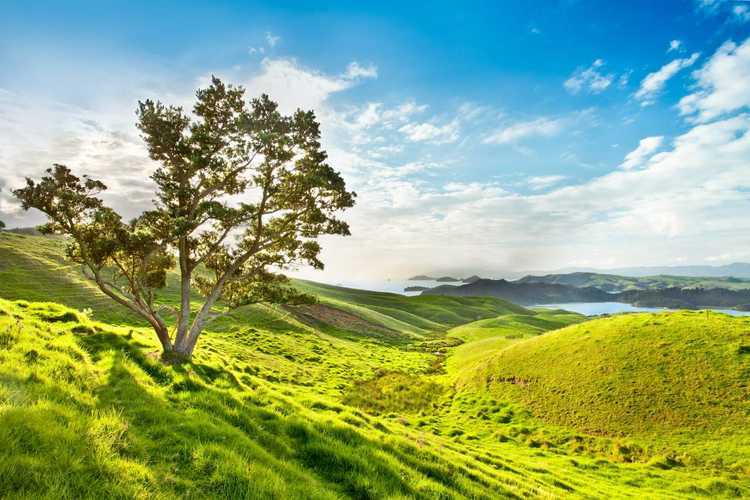 Kerata Hill, Coromandel