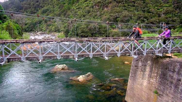 Hauraki Rail Trail Waikato Tourism New Zealand2