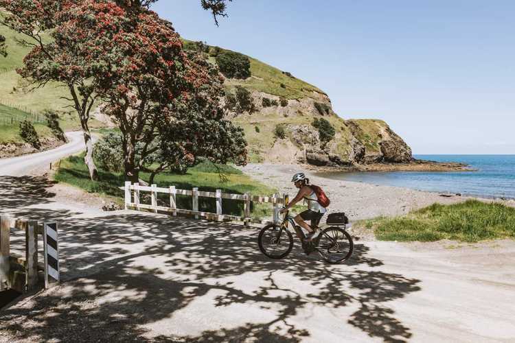 Biking pahi3k3a7632
