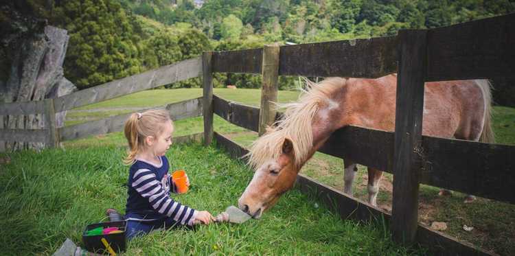 Bullswool Farm
